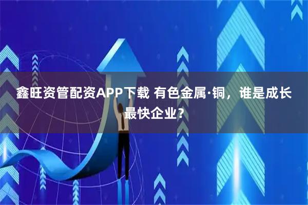 鑫旺资管配资APP下载 有色金属·铜，谁是成长最快企业？