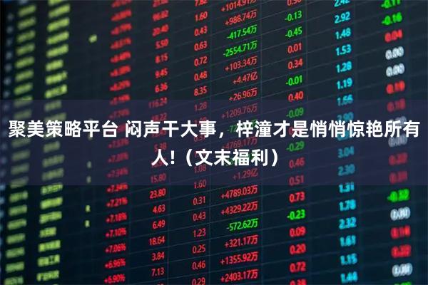 聚美策略平台 闷声干大事，梓潼才是悄悄惊艳所有人!（文末福利）