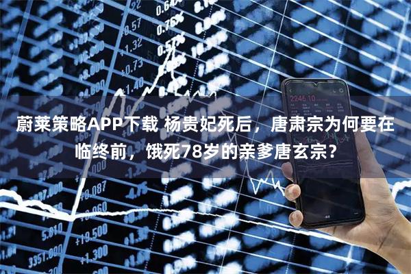 蔚莱策略APP下载 杨贵妃死后，唐肃宗为何要在临终前，饿死78岁的亲爹唐玄宗？