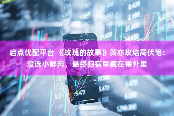 启点优配平台 《玫瑰的故事》黄亦玫结局伏笔：没选小鲜肉，最终归宿早藏在番外里